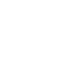 Smart Guides